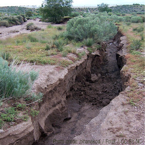 Arroyo Erosion After Monsoons
